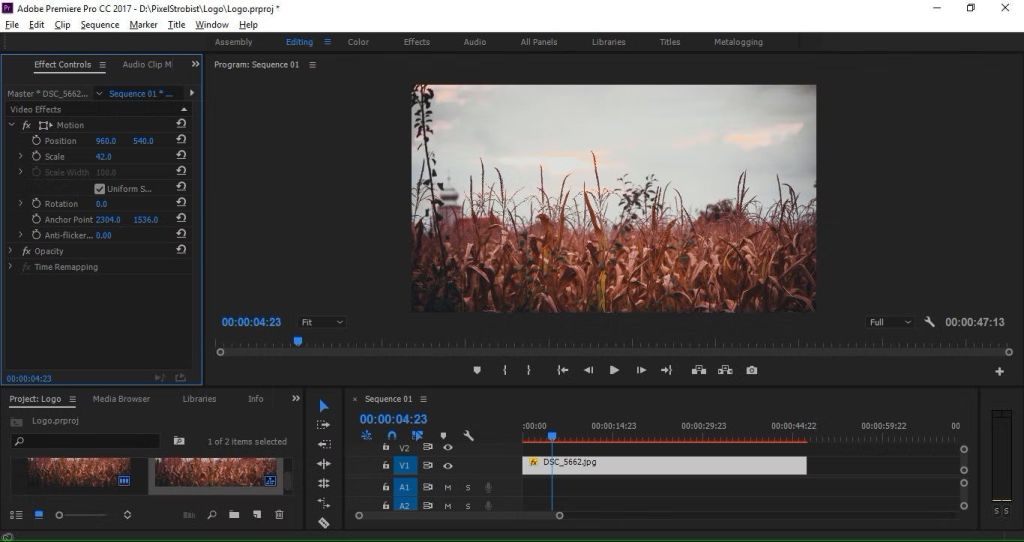 Adobe Premiere Pro 2024