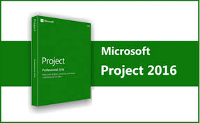 Microsoft Project Professional 2016