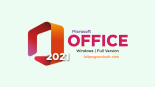 Microsoft Office Professional Plus 2021