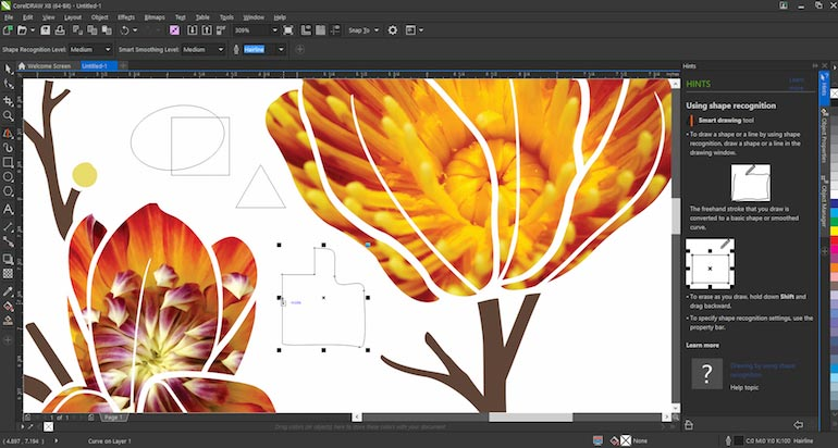 CorelDRAW Graphic Suite X8 Indir