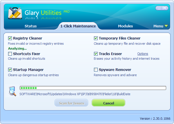 Glary Utilities Pro Indir